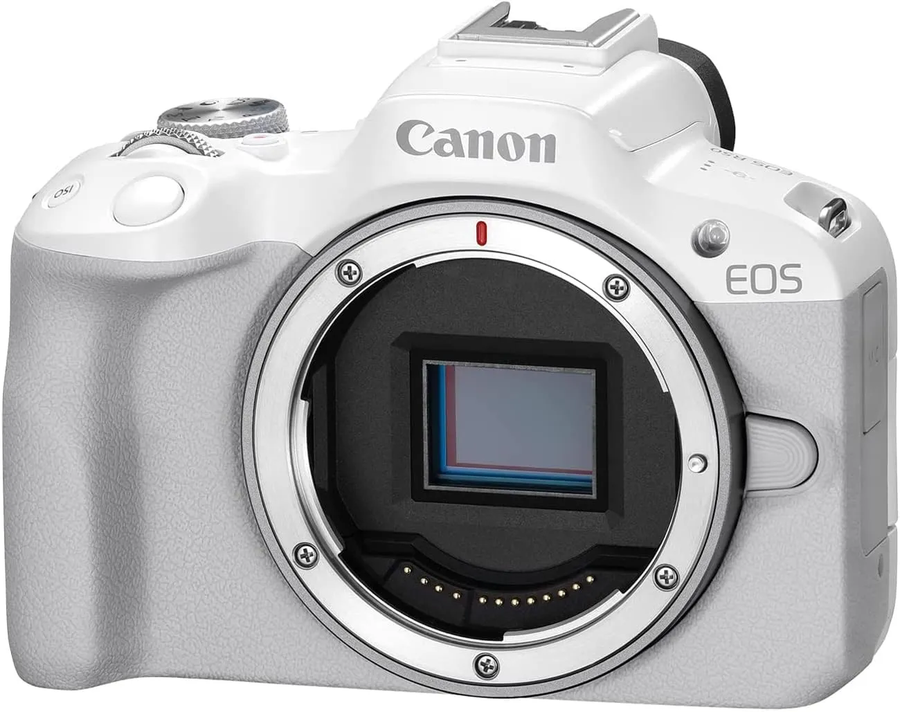 Canon EOS R50 Mirrorless APS-C Interchangeable Lens Camera | Official Canon USA Partner Model | Body White 5812C002 Bundle with Deco Gear Photography Bag   Microphone   Tripod   Software