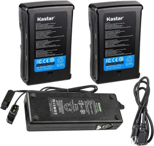 Kastar 2-Pack Battery and Dual D-Tap Charger Compatible with DSR-300 DSR-300A DSR-300AP DSR-300F DSR-300K DSR-300L DSR-300P DSR-300PF DSR-300PK DSR-300PL DSR-370 DSR-370K1 DSR-370K2 Camera