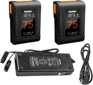 Kastar 2-Pack Battery and Dual D-Tap Charger Compatible with DSR-300F DSR-300K DSR-300L DSR-300P DSR-300PF DSR-300PK DSR-300PL DSR-370 DSR-370K1 DSR-370K2 DSR-370L DSR-370P DSR-370PK1 Camera
