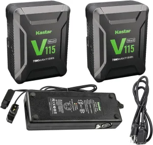 Kastar 2-Pack Battery and Dual D-Tap Charger Replacement for DSR-370L DSR-370P DSR-370PK1 DSR-370PK2 DSR-390 DSR-390K1 DSR-390K2 DSR-390L DSR-390P DSR-400 DSR-400K DSR-400L DSR-400P Camera