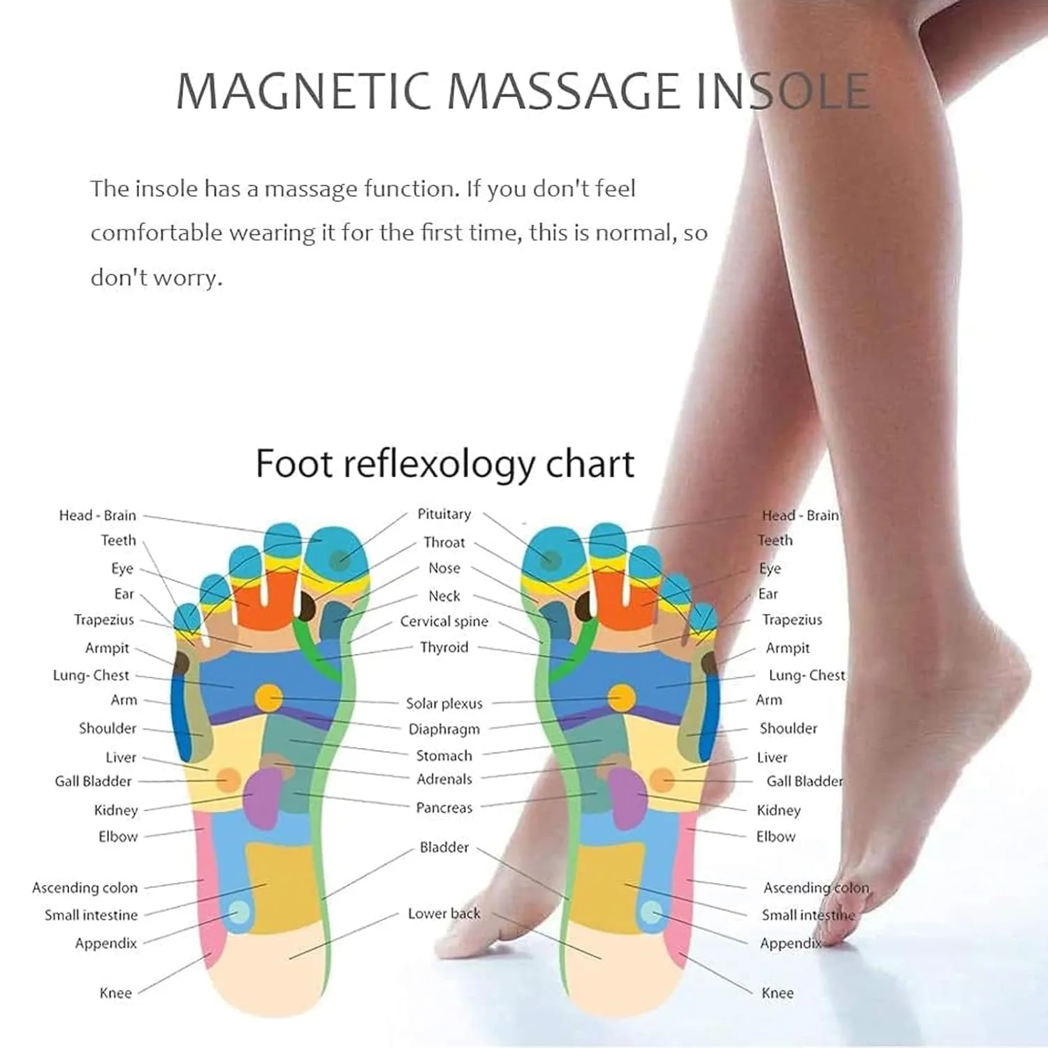 Magnetic Therapy Insoles, PVC Material, Unisex-Adults, Blue, L (40-45), Foot Massage Insoles, Health Care, Arch Support, Blood Circulation, Foot Pain Relief