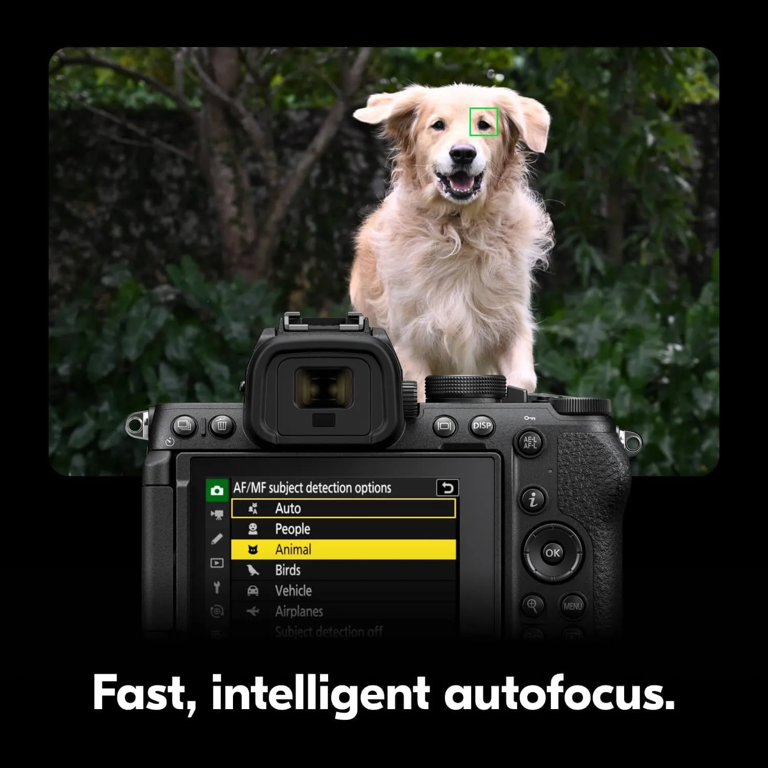 Nikon Z5 II | Full-Frame mirrorless Stills/Video Camera | Nikon USA Model